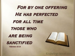 Hebrews 10:14 By One Perfect Offering (brown)